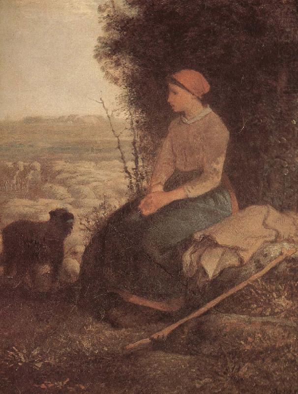 Sleeping Shepherdess, Jean Francois Millet